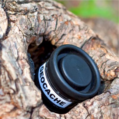 Team-Event Geocaching Rallye Nahaufnahme eines Geocaches in einer kleinen Baumhöhle