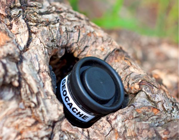 Nahaufnahme eines Geocaches in einer kleinen Baumhhle